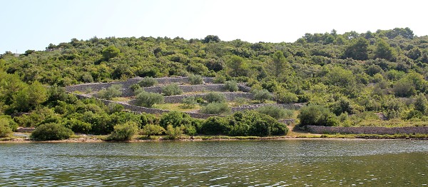 C19859 26-07-2014 uvala Piškera.jpg